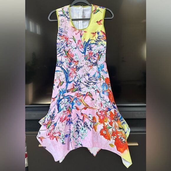 Clover Canyon Birds Dress, Size XS - Picture 1 of 13